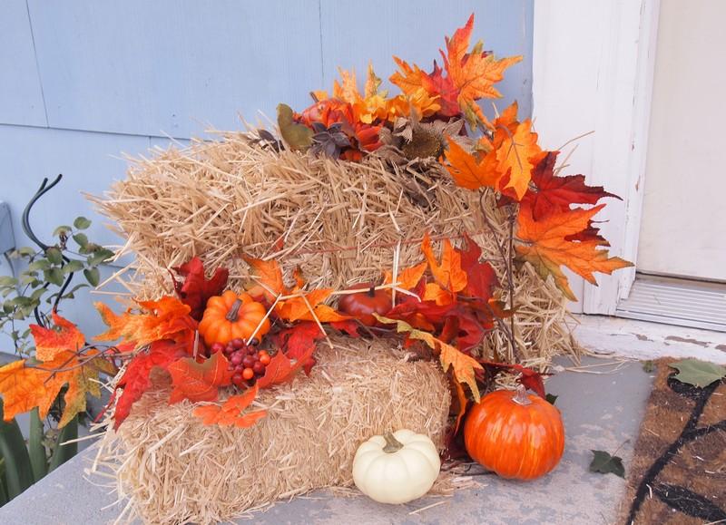 Decoração de outono-materiais naturais-folhas de outono-abóbora ornamental-