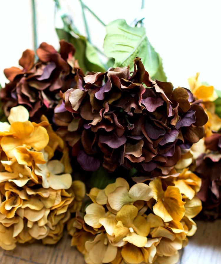 hortênsias secas para remendar decoração