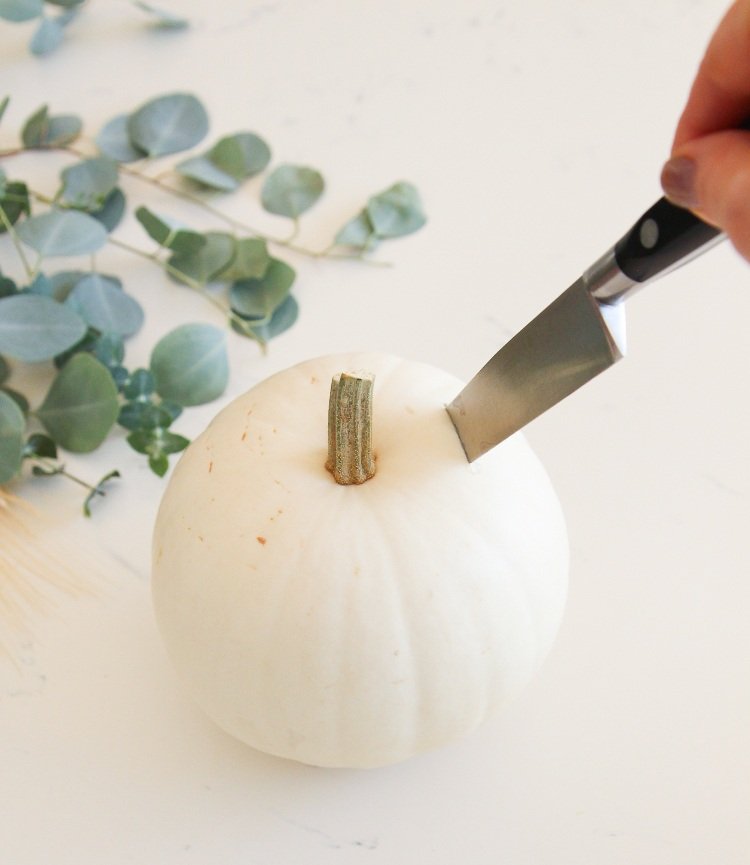 instruções para decoração de outono com hortênsias faça seu próprio vaso de abóbora