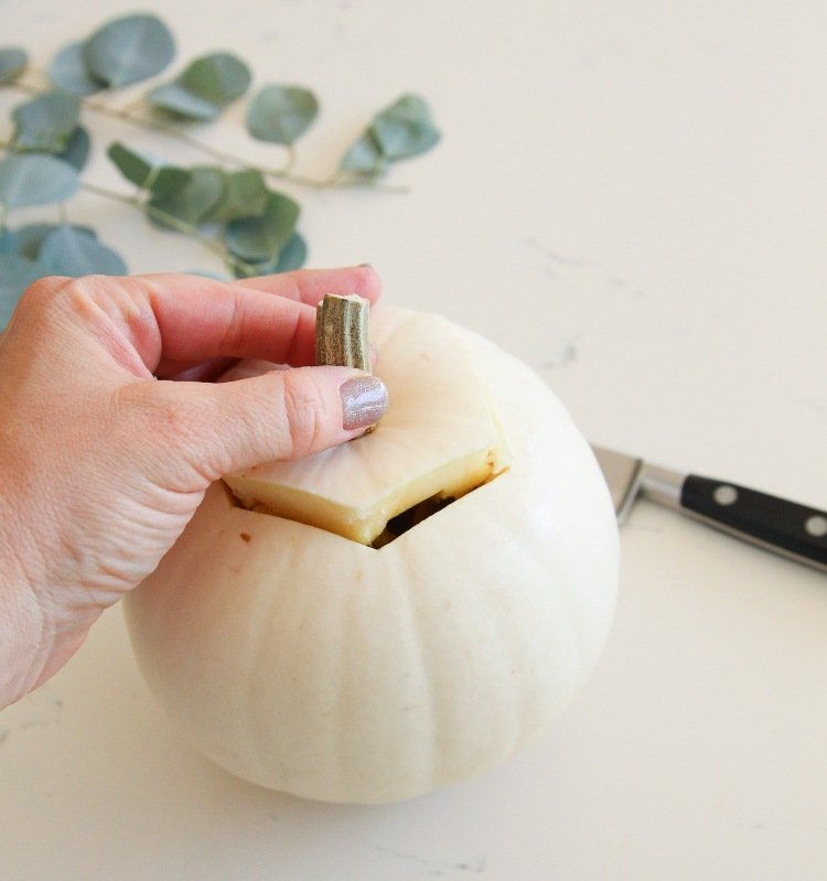 mini abóbora branca como um vaso instruções para esculpir