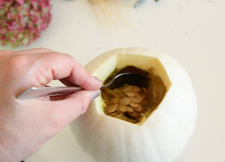 Colher uma abóbora fazendo um vaso você mesmo - instruções
