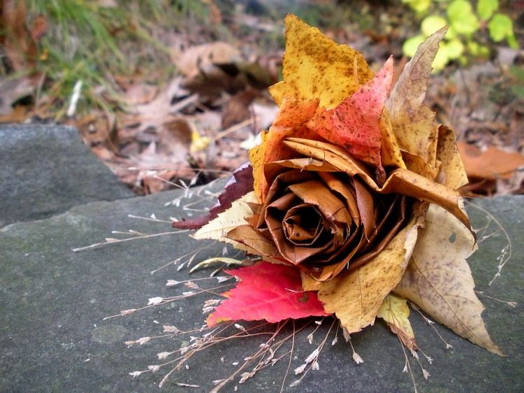 outono-decoração-faça-você-mesmo-outono-folhas-buquê de rosas
