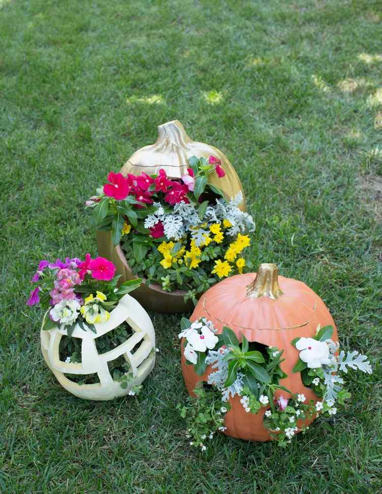 ideias-outono-decoração-funileiro-jardim-abóbora-plantas