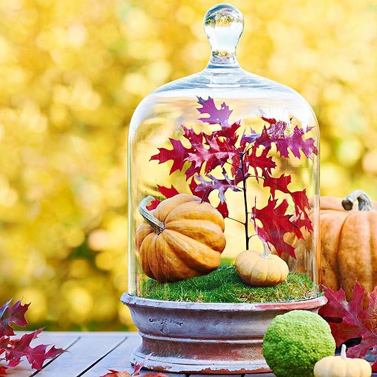 decoração de outono ideia sino de vidro tigela de terracota abóbora