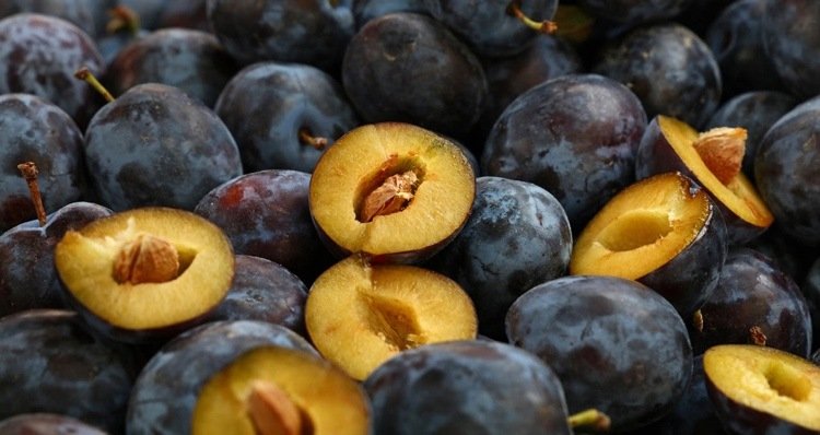Ameixa azul escura fácil de apedrejar