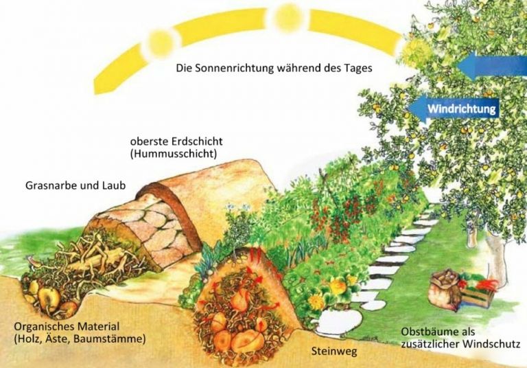 Criação de canteiros Instruções para material orgânico Localização Plantio de flores Gartentrends-resized