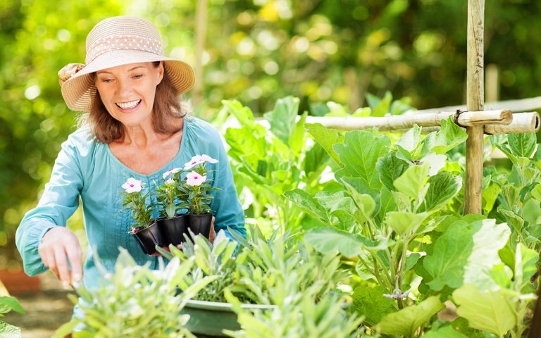 Criação de canteiros, instruções simples de plantio para tendências sustentáveis ​​de jardinagem