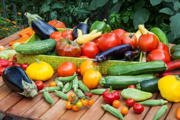 Plantar uma colina, instruções de plantio, vegetais, tomates, variedades, tendências de jardim