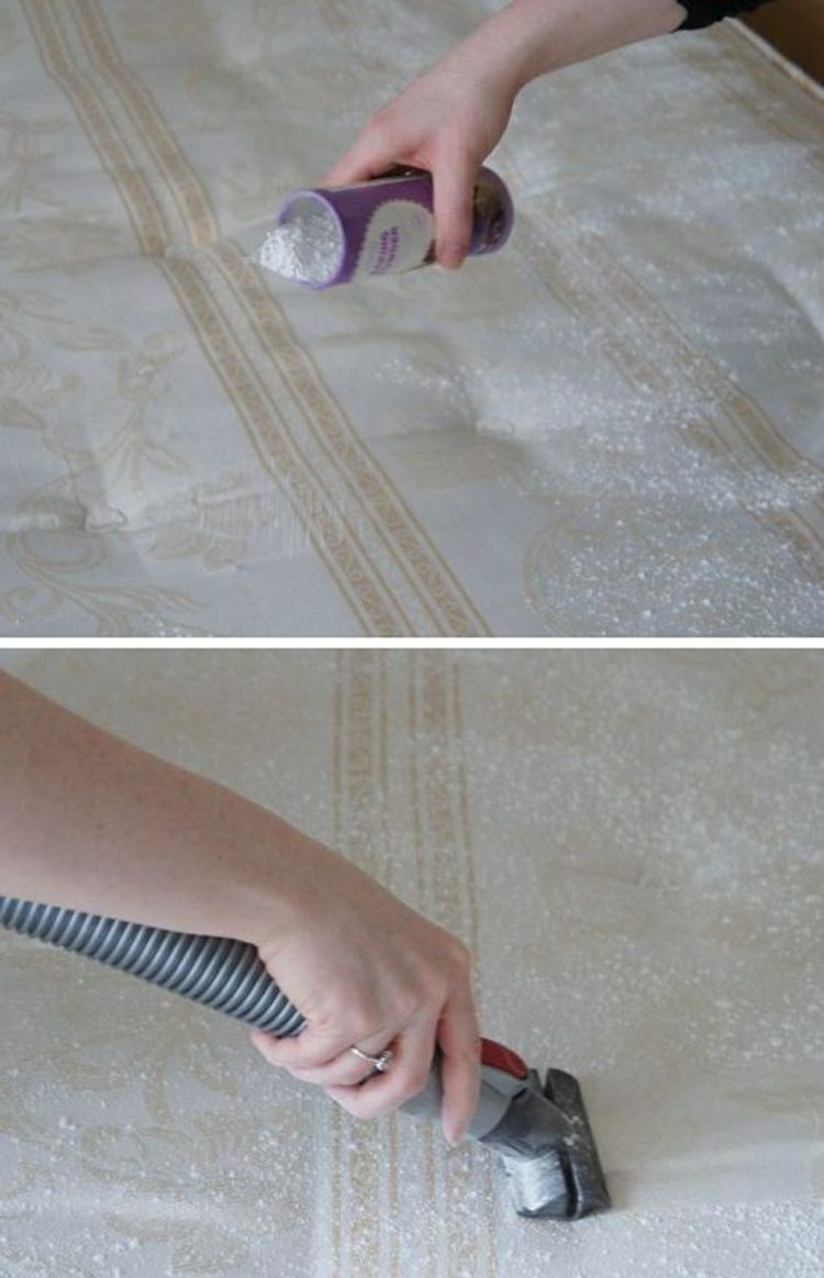 dicas domésticas para limpar aspirador de pó de refrigerante sem cheiro de colchão
