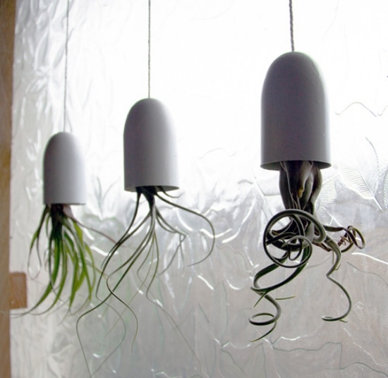 idéias de decoração vasos pendurados mexer modernos