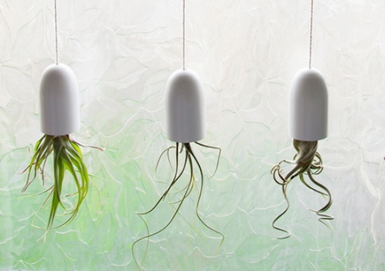 janela de casa ideias modernas faça você mesmo a decoração dos plantadores