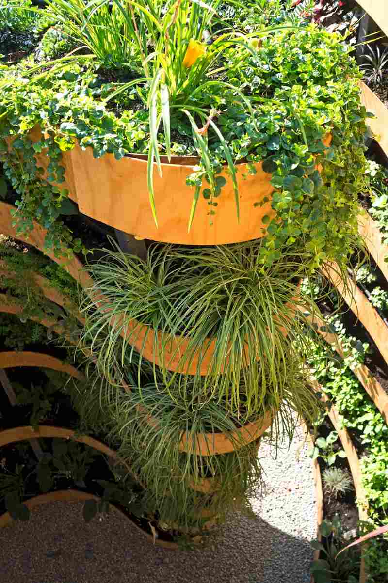 Canteiro levantado-jardim-plantio-ideia-em forma de espiral