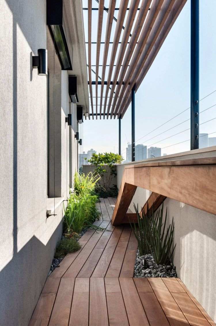 Madeira para terraço -moderno-combinar-terraço-telhado-plantas-ensolarado