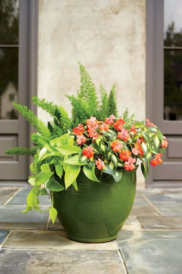 Combine vasos de plantas para um terraço ensolarado