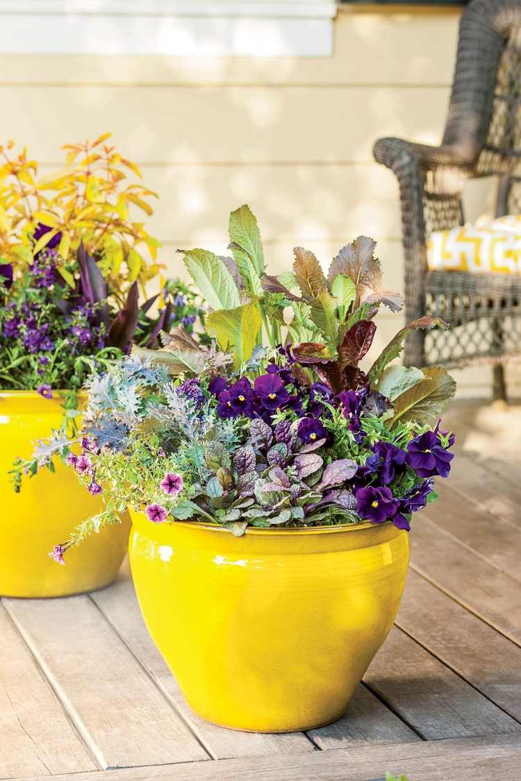 Plantas de contêiner para terraço em arranjo de sombra parcial