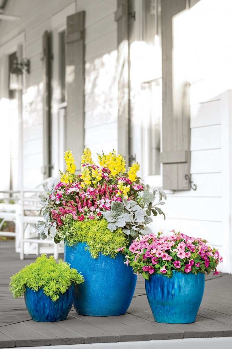 Plantas de verão para banheiras. Flores cor de rosa