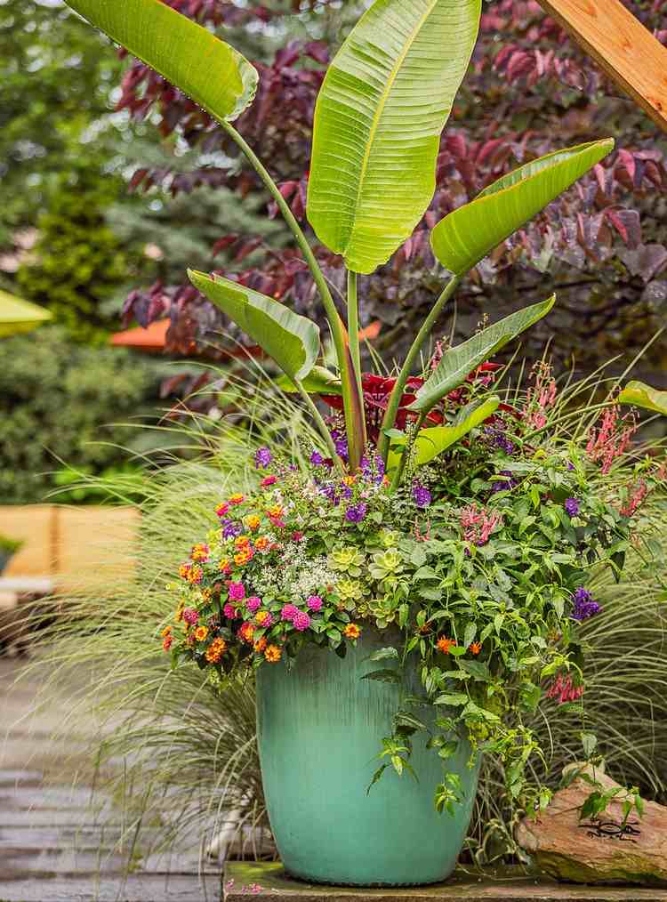Plantio de verão para terraço com vasos de plantas