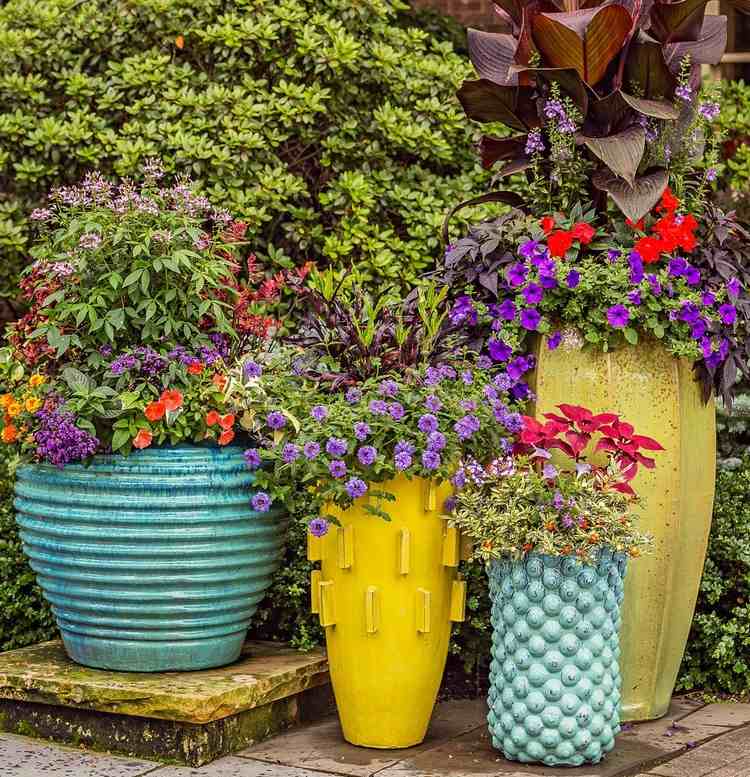 Plantio de vasos de verão é assim que você cria um terraço com flores de verão