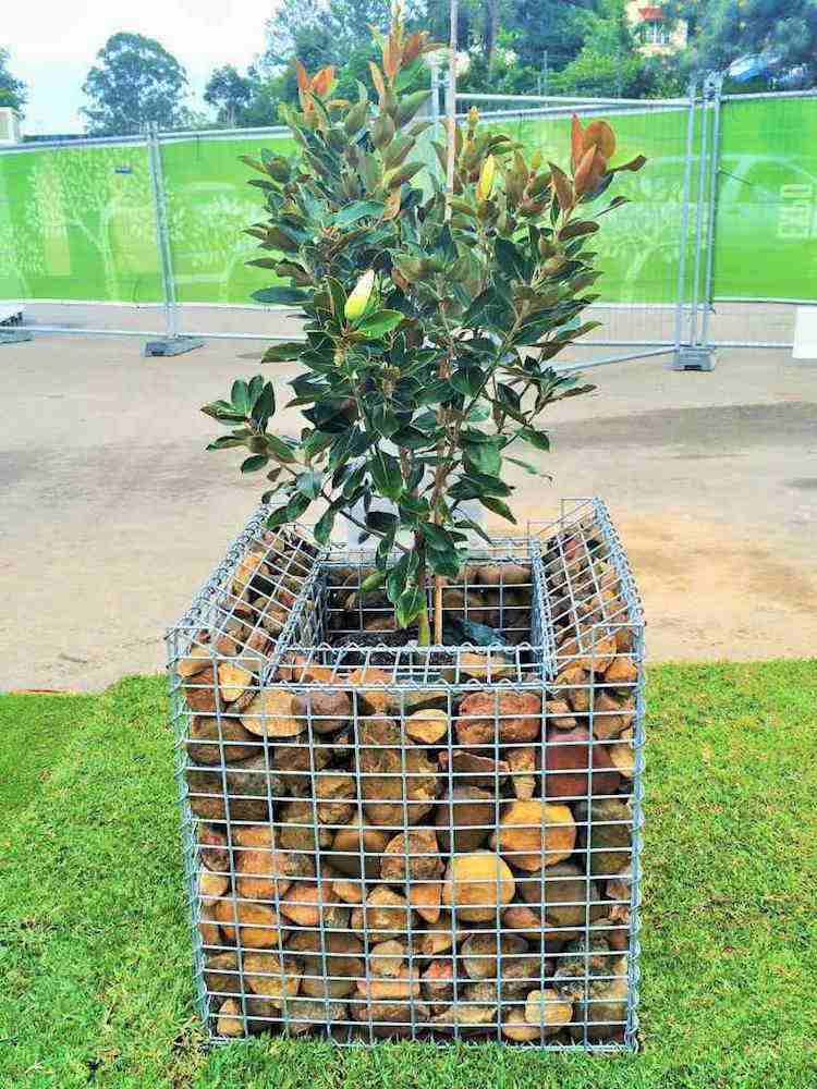 Gabião-desenhos-decoração-elementos-vasos-plantas-arame-limoeiro-gramado