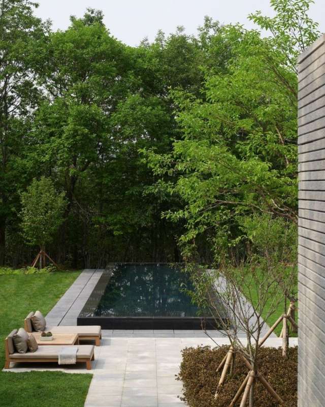 Espreguiçadeiras de árvore de laje de piscina terraço