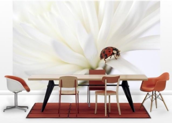idéias decoração de parede foto papel de parede joaninha flor branca