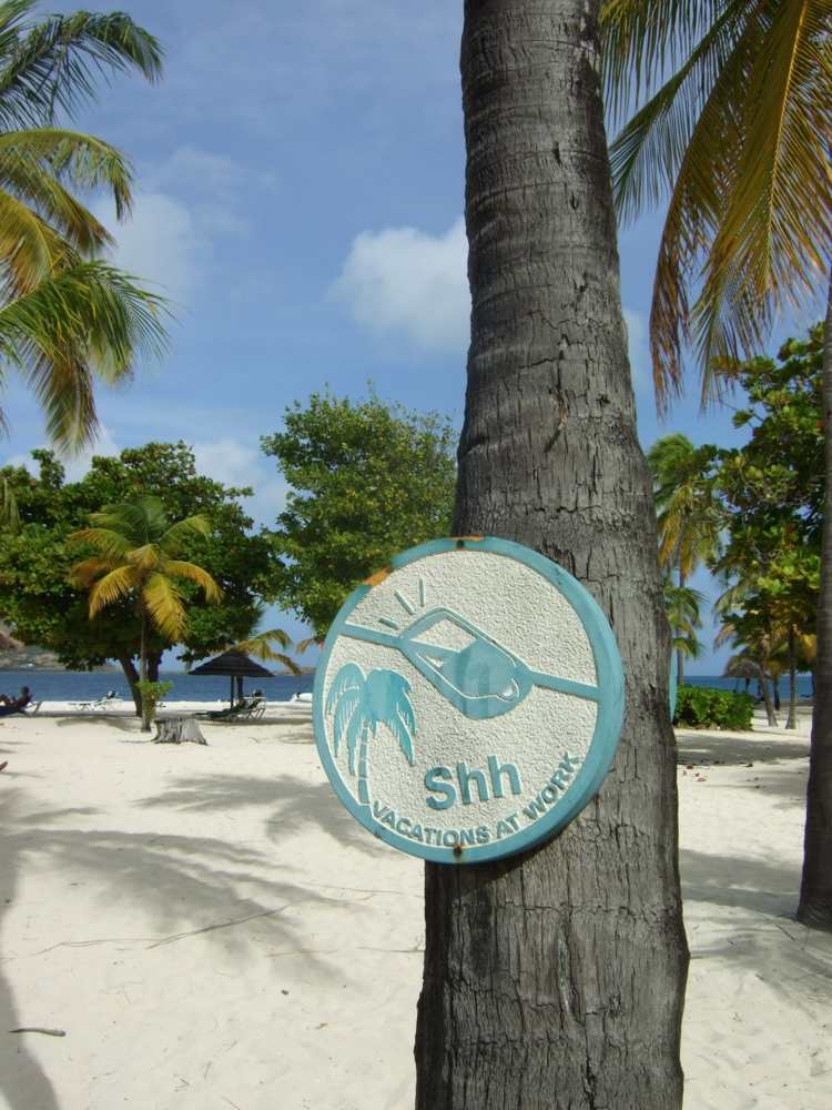assinar ideias proibidas para celular para relaxar praia, palmeiras, mar