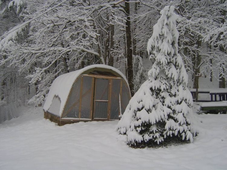 jardim em estufa coberto de neve em janeiro