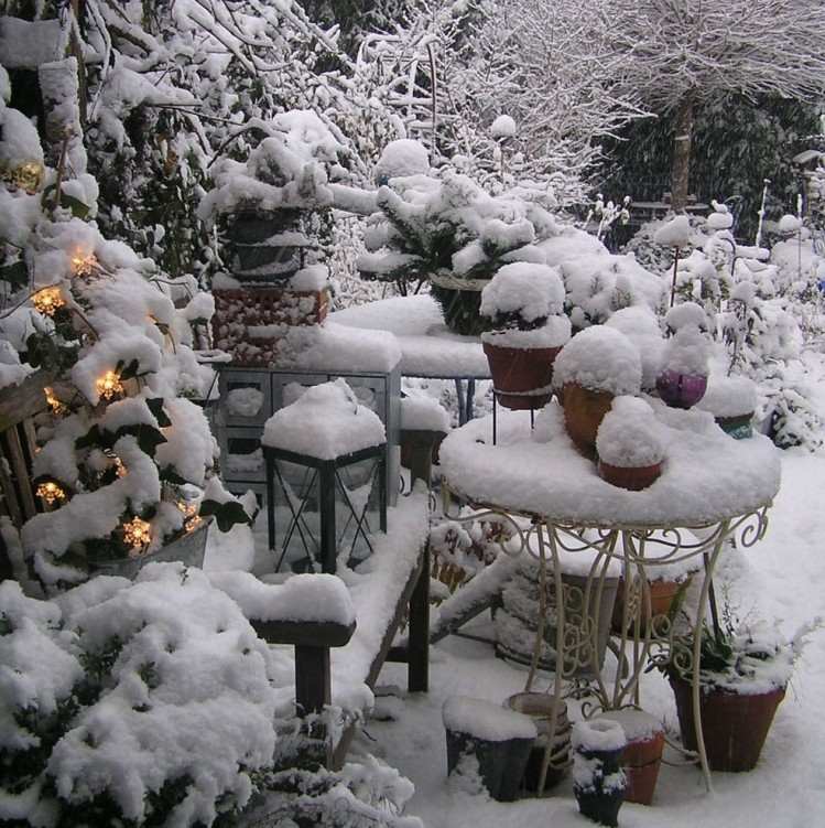 jardim-janeiro-neve-coberto-arvores-decorações