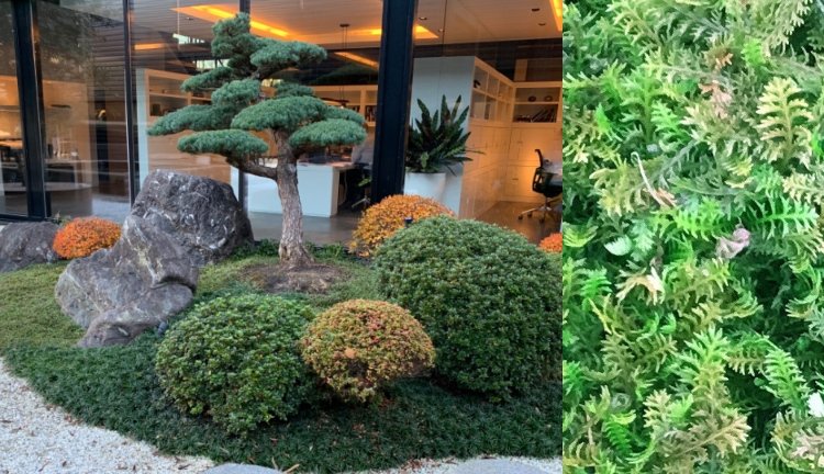 Cobertura do solo resistente ao piso para almofadas de penas de anões no jardim da frente