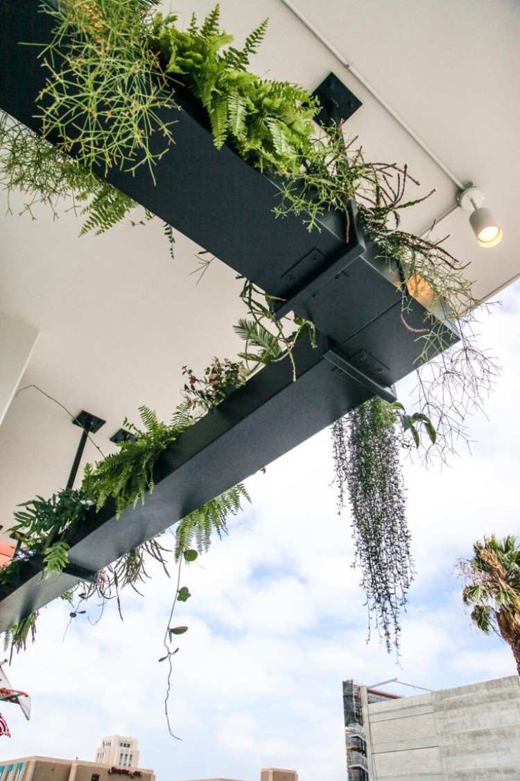 aparência industrial idéias de design de jardim dicas plantas de metal de teto de combinação