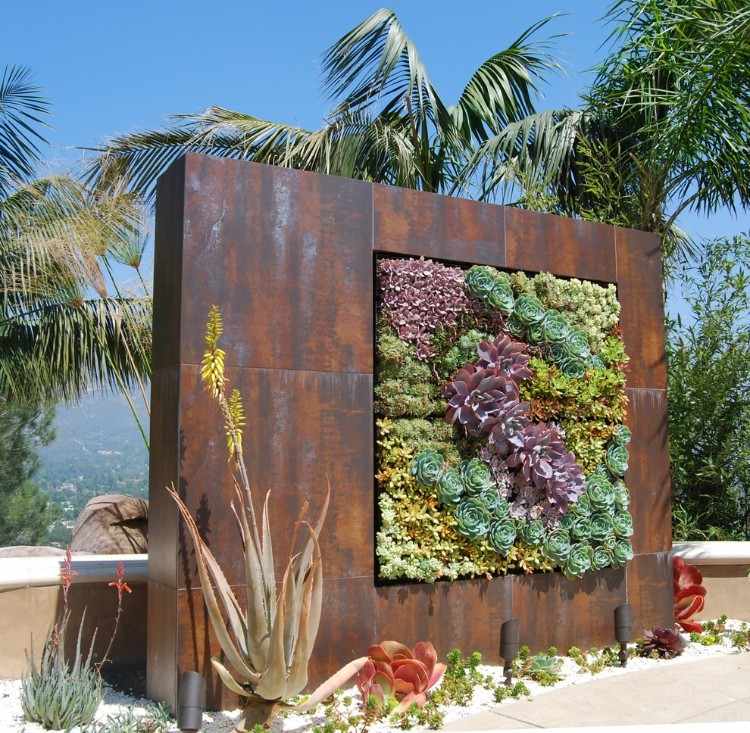 indústria olhar idéias de design de jardim dicas cactos suculentas parede de ferro