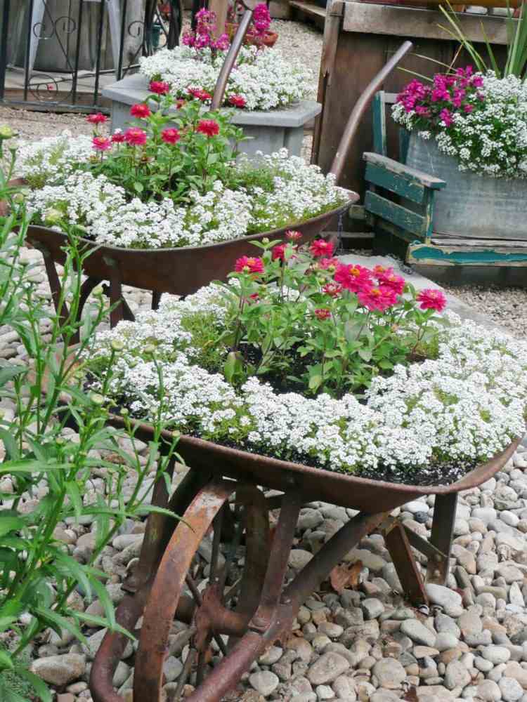 aparência industrial idéias de design de jardim dicas modernas flores de ferro combinação contraste