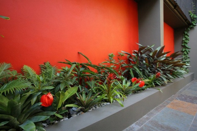 Canteiros de flores na parede do pátio de concreto cor laranja