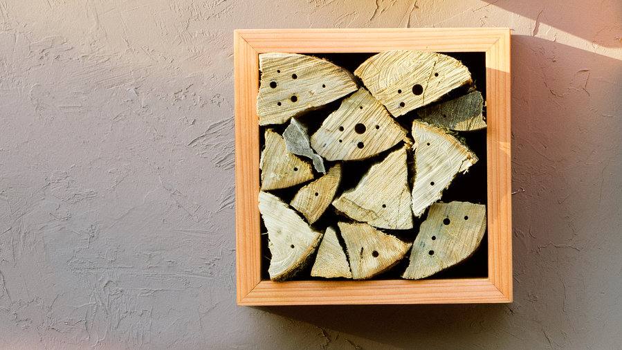 Construir insetos hoteleiros usando madeira dura