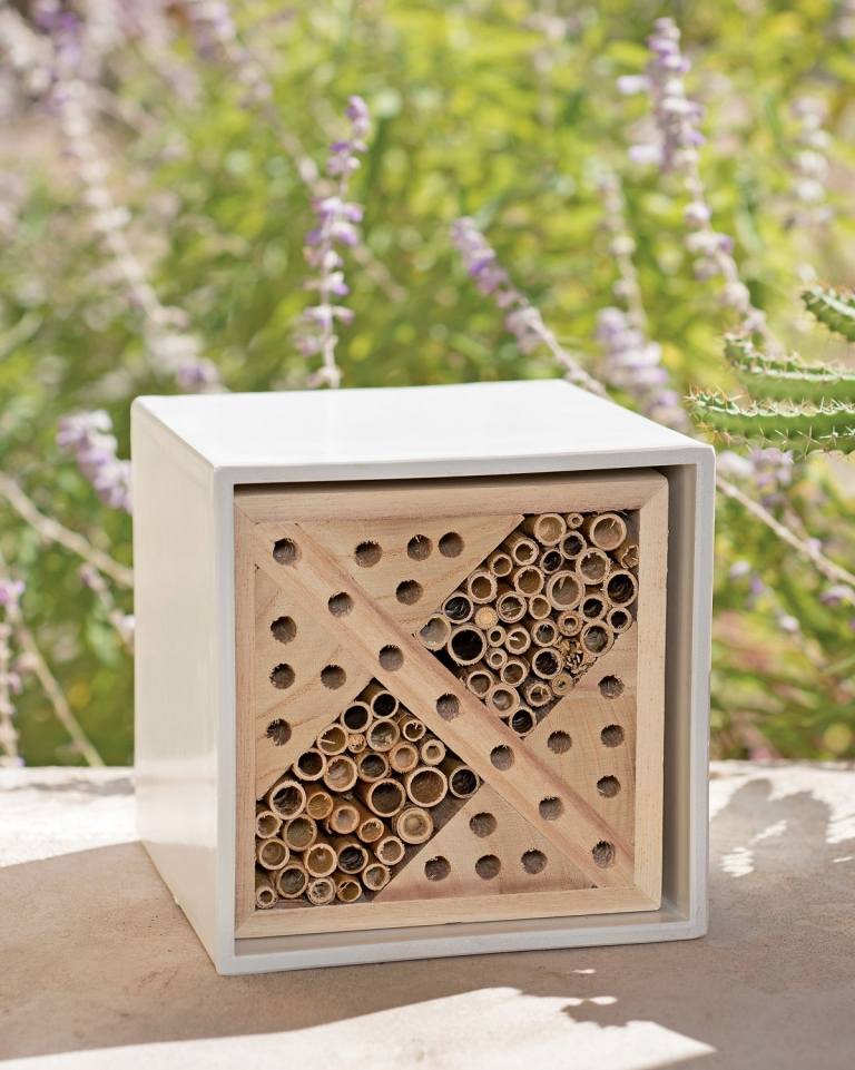 Construir joaninhas de hotéis insetos atraem abelhas para lutar contra os mosquitos