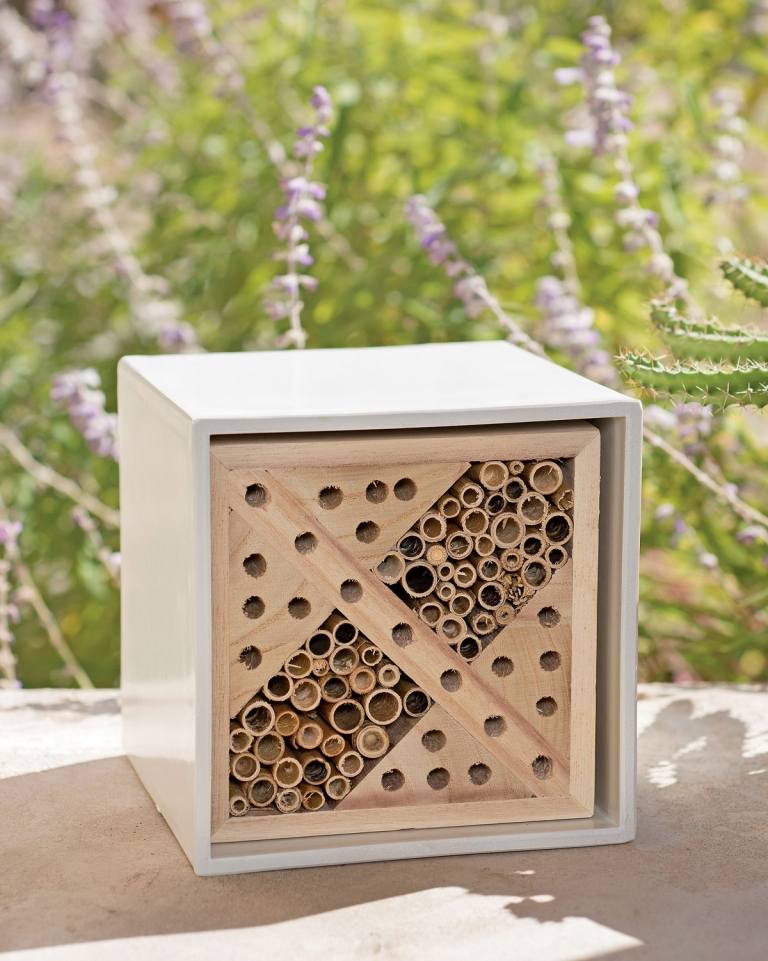 Construir joaninhas de hotéis insetos atraem abelhas para lutar contra os mosquitos