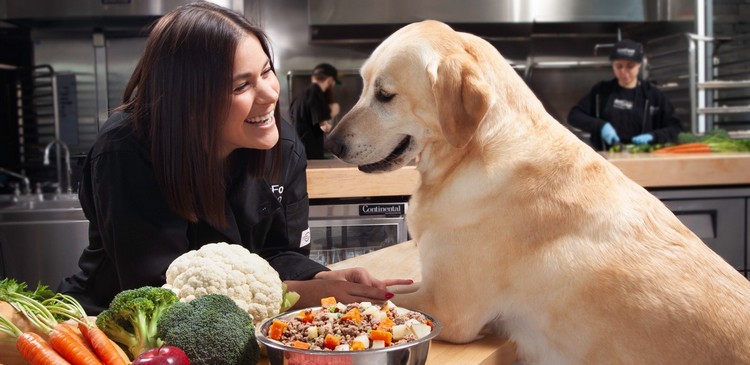 Preparando você mesmo comida de cachorro Dicas Dieta Keto para cães com câncer