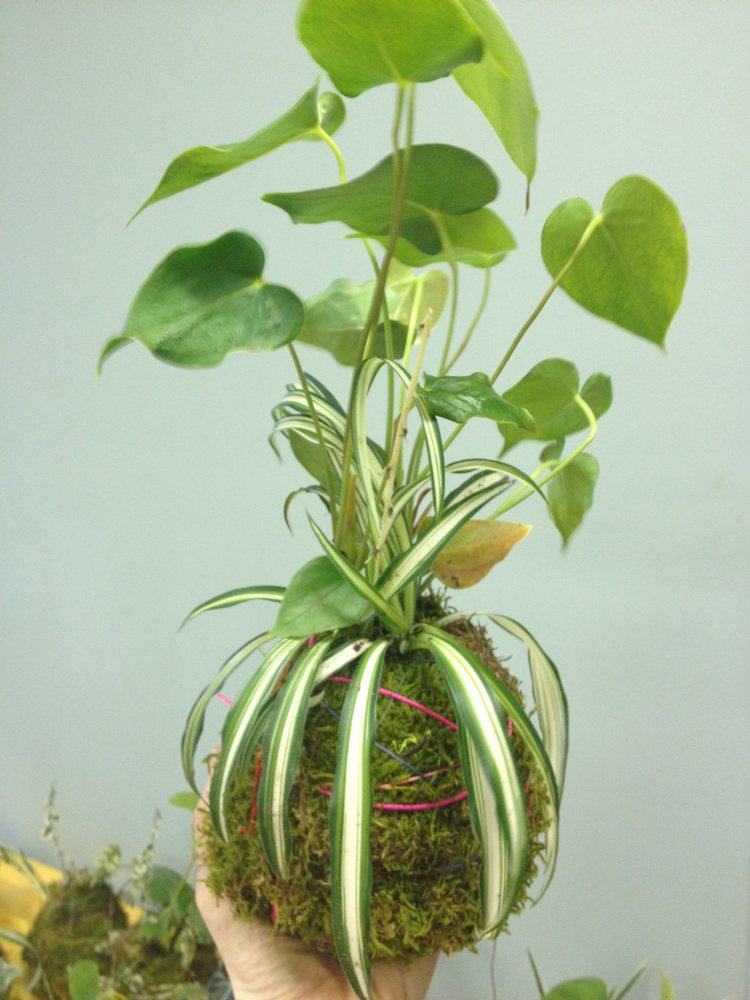 japonesa-decoração-arranjo-plantas-kokedamas-faça-você-mesmo-inspiração