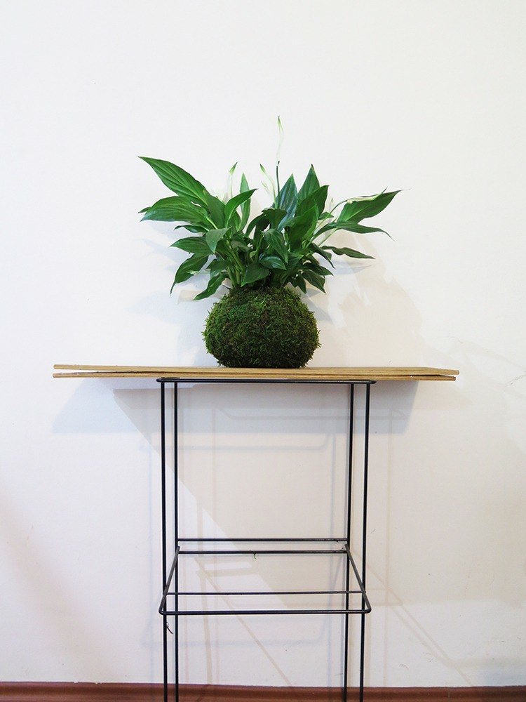 japonesa-deco-mesa lateral-moderna-decorar-kokedama-ball