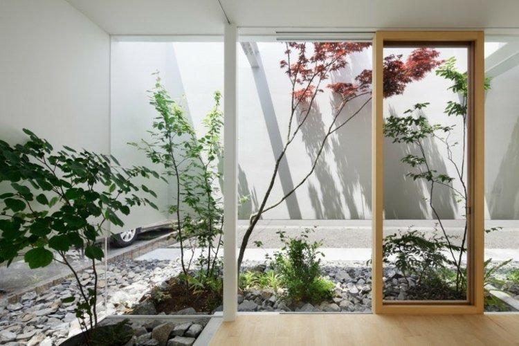 Crie idéias de jardins japoneses - plantas verdes - jardim interno - parede de vidro - pedras de portas deslizantes