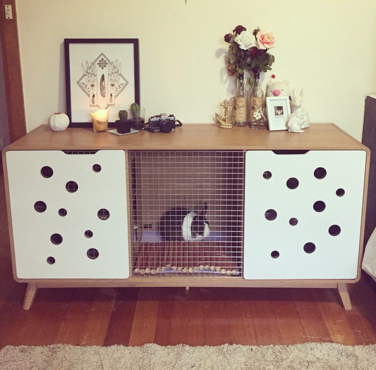 coelho recinto-dentro-quarto-cômoda-sala