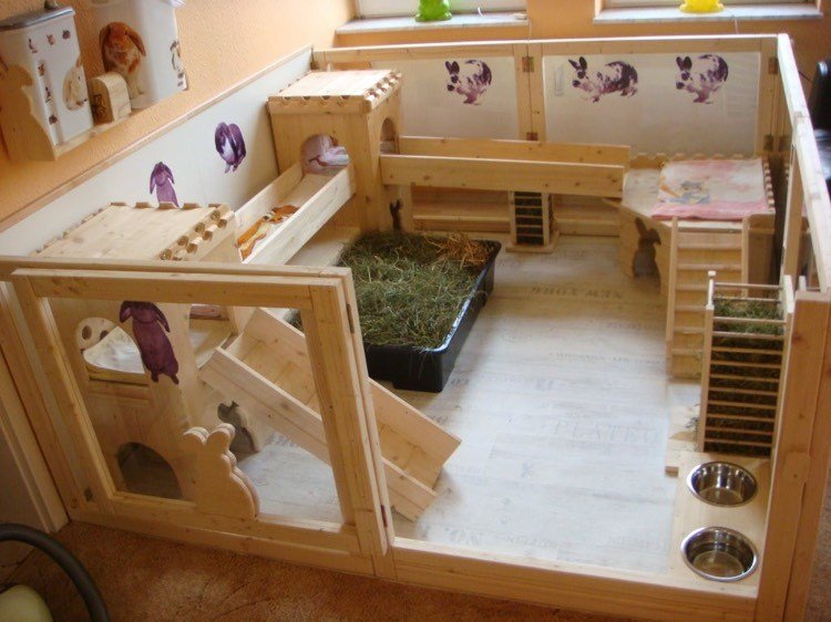 coelho recinto-quartos-separado-apartamento-madeira-rampas-trava-reino do coelho