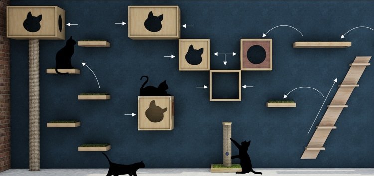 gatos subindo ideias de parede escada de madeira plano