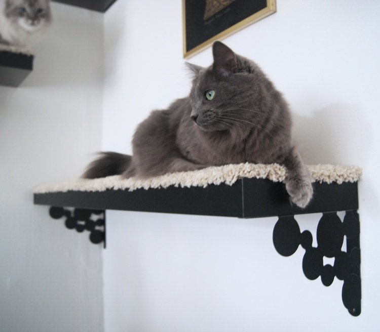 Parede de escalada para gatos, construa você mesmo instruções prateleiras de metal Ikea