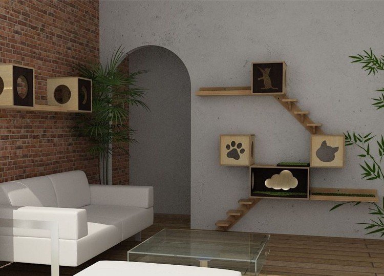 Gatos subindo escadas com ideias de paisagens em lugares de descanso