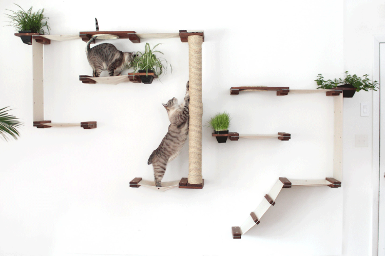 Parede de escalada de gatos para plantas de casa de gatos grandes