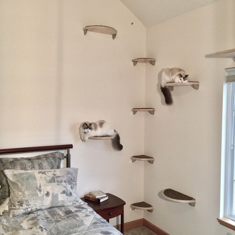 construa seu próprio gato prateleiras de parede de escalada quarto semicircular