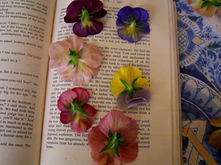 velas-decoração-flores-prensagem-secagem-livro