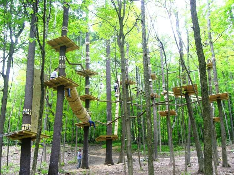 Escalada em andaimes na floresta com escadas