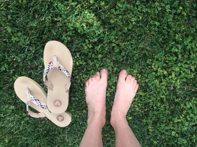 Corte rapidamente o trevo no gramado para remover flores velhas